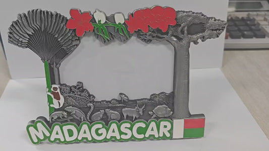 Cadre Photo Souvenir – MADAGASCAR | Acier Gravé 3D